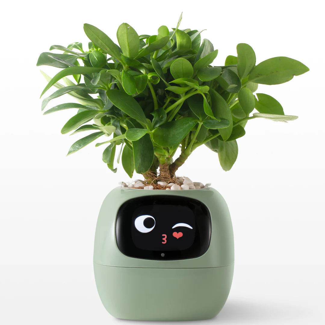 Plantpal_IA - Smart Planter