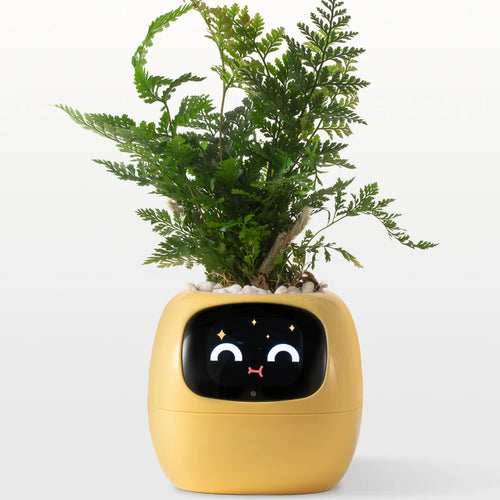 Plantpal_IA - Smart Planter