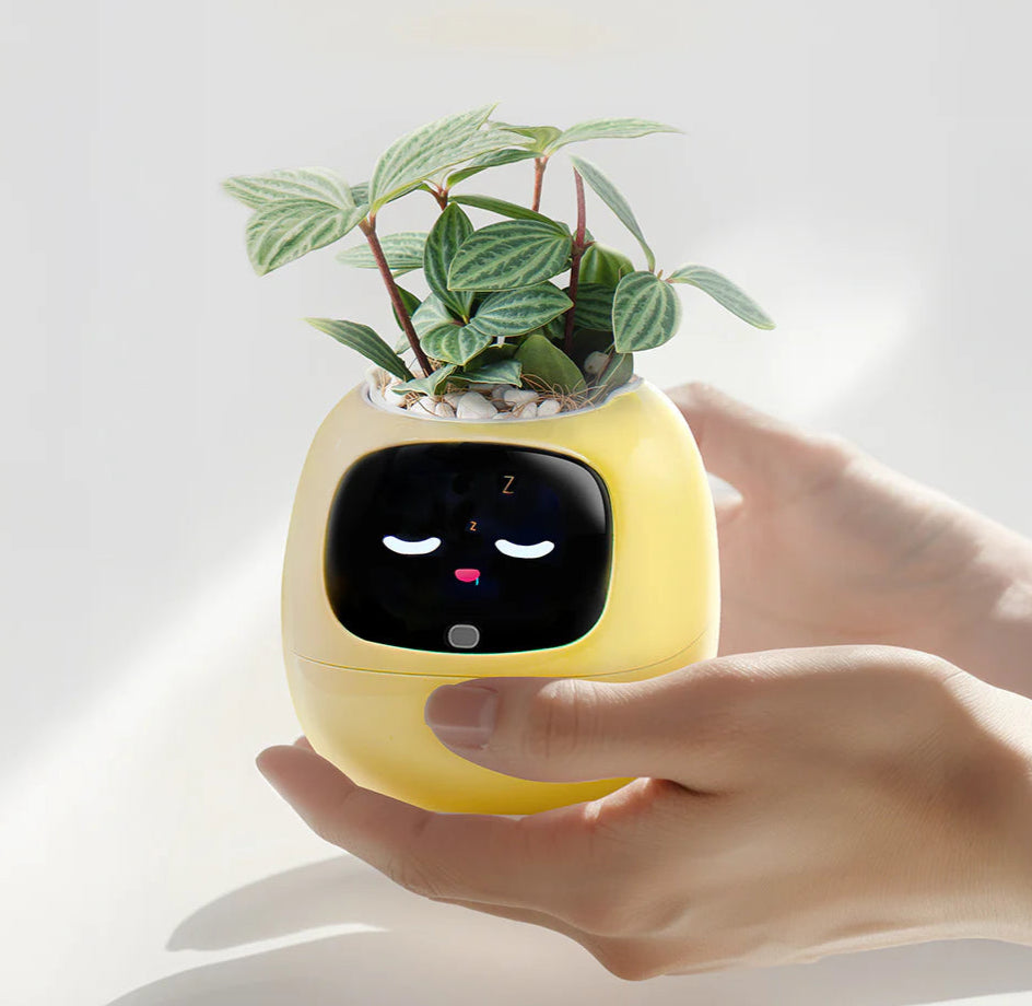 PlantPal_IA Jardinera inteligente