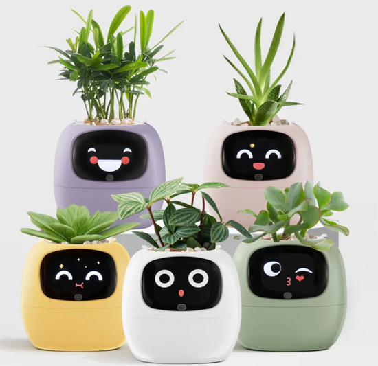 PlantPal_IA Jardinera inteligente