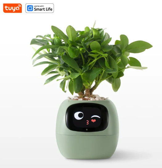 PlantPal_IA Jardinera inteligente - PlantPal