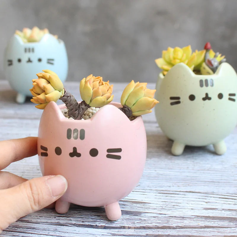 Maceta Miau 🐱🌱