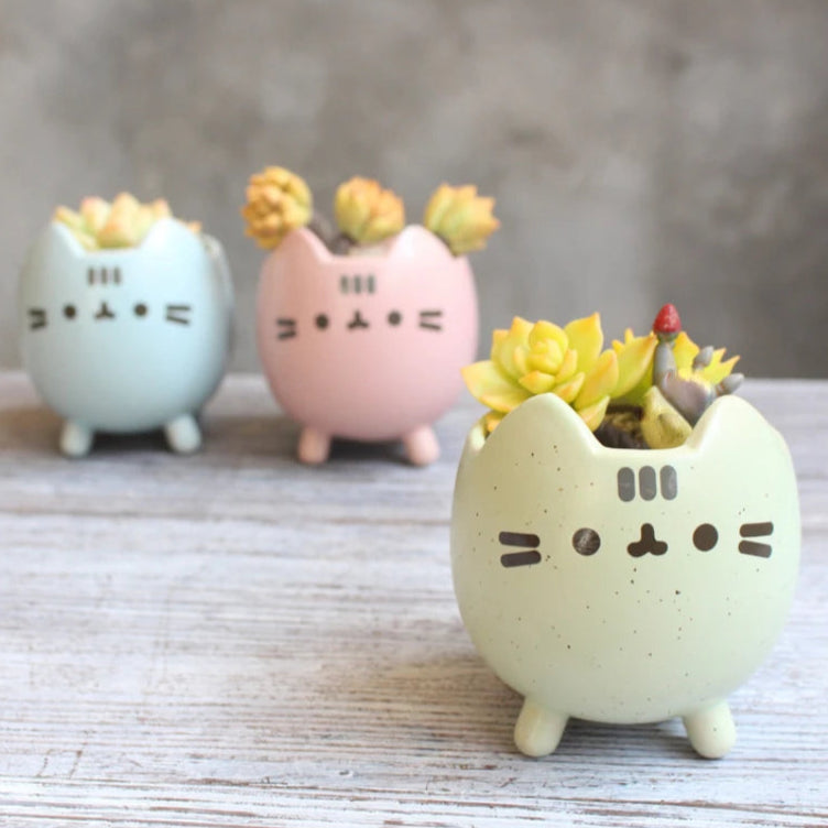 Maceta Miau 🐱🌱