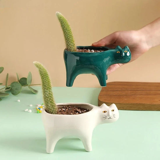Maceta Gatito de Cerámica 🐱🌱
