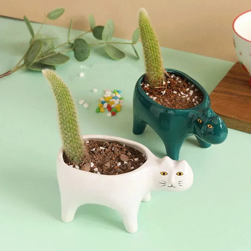 Maceta Gatito de Cerámica 🐱🌱