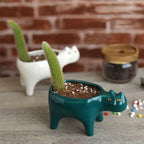 Maceta Gatito de Cerámica 🐱🌱