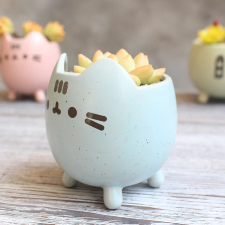 Maceta Miau 🐱🌱