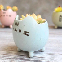 Maceta Miau 🐱🌱